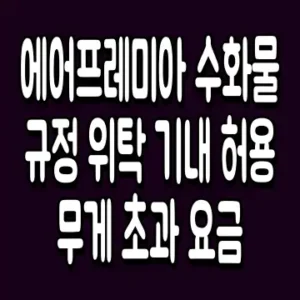 에어프레미아 수화물 규정 위탁 기내 허용 무게 초과 요금