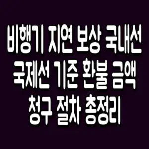 비행기 지연 보상 국내선 국제선 기준 환불 금액 청구 절차 총정리