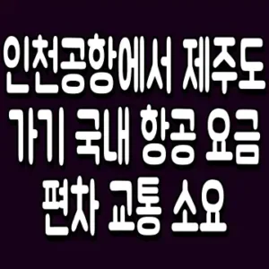 인천공항에서 제주도 가기 국내 항공 요금 편차 교통 소요