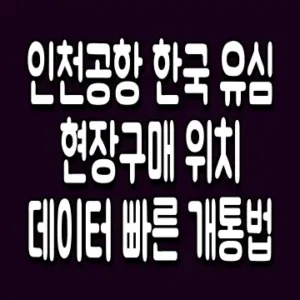 인천공항 한국 유심 현장구매 위치 데이터 빠른 개통법