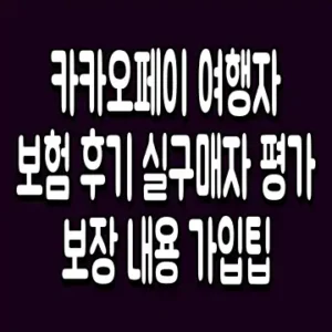 카카오페이 여행자보험 후기 실구매자 평가 보장 내용 가입팁