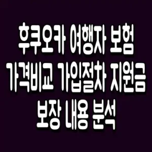 후쿠오카 여행자 보험 가격비교 가입절차 지원금 보장 내용 분석