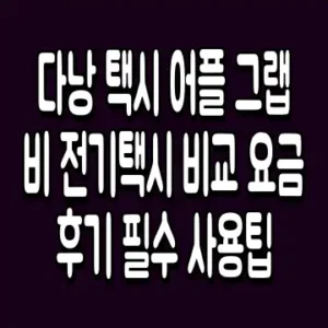 다낭 택시 어플 그랩 비 전기택시 비교 요금 후기 필수 사용팁
