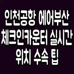 인천공항 에어부산 체크인카운터 실시간 위치 수속 팁