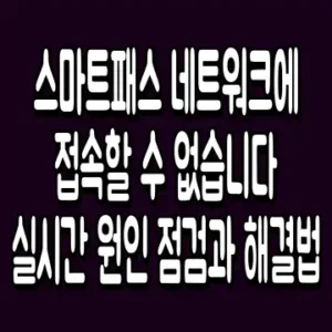 스마트패스 네트워크에 접속할 수 없습니다 실시간 원인 점검과 해결법