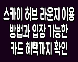 스카이 허브 라운지 이용 방법과 입장 가능한 카드 혜택까지 확인