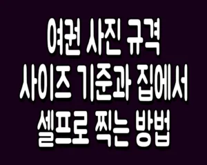 여권 사진 규격 사이즈 기준과 집에서 셀프로 찍는 방법