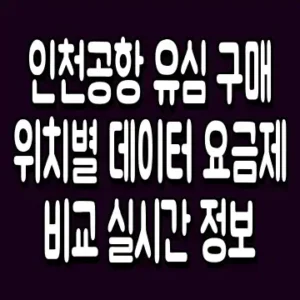 인천 공항 유심 구매 위치별 데이터 요금제 비교 실시간 정보