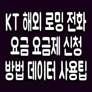 KT 해외 로밍 전화 요금 요금제 신청 방법 데이터 사용팁