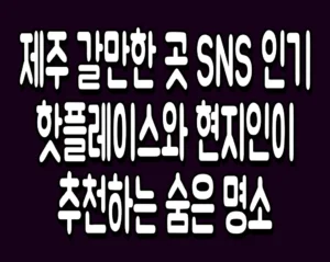 제주 갈만한 곳 SNS 인기 핫플레이스와 현지인이 추천하는 숨은 명소