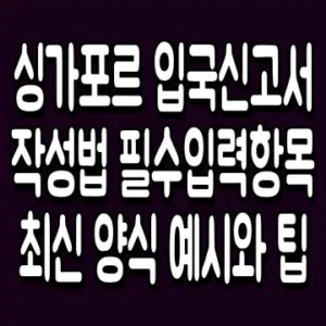 싱가포르 입국신고서 작성법 필수입력항목 최신 양식 예시와 팁