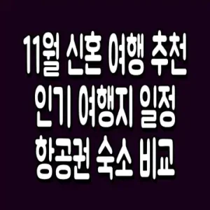 11월 신혼 여행 추천 인기 여행지 일정 항공권 숙소 비교