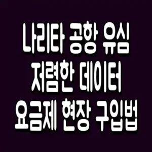 나리타 공항 유심 저렴한 데이터 요금제 현장 구입법