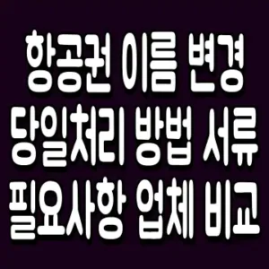 항공권 이름 변경 당일처리 방법 서류 필요사항 업체 비교