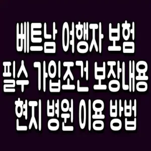 베트남 여행자 보험 필수 가입조건 보장내용 현지 병원 이용 방법
