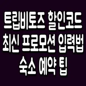 트립비토즈 할인코드 최신 프로모션 입력법 숙소 예약 팁