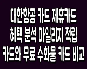 대한항공 카드 제휴카드 혜택 분석 마일리지 적립 카드와 무료 수화물 카드 비교