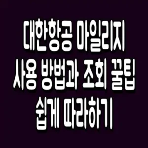 대한항공 마일리지 사용 방법과 조회 꿀팁 쉽게 따라하기
