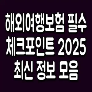 해외여행보험 필수 체크포인트 2025 최신 정보 모음