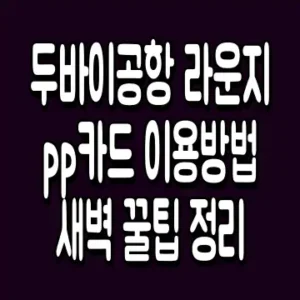 두바이공항 라운지 pp카드 이용방법 새벽 꿀팁 정리
