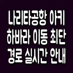 나리타공항 아키하바라 이동 최단 경로 실시간 안내