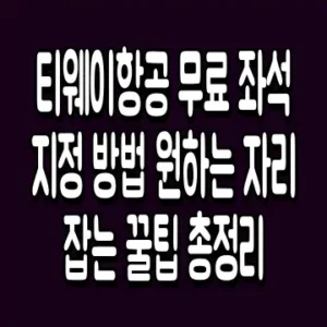 티웨이항공 무료 좌석지정 방법 원하는 자리 잡는 꿀팁 총정리