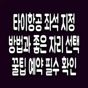 타이항공 좌석 지정 방법과 좋은 자리 선택 꿀팁 예약 필수 확인