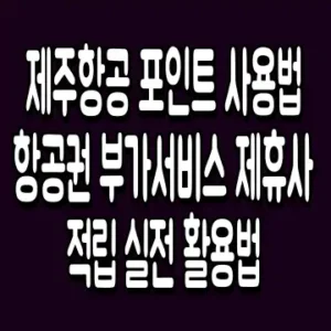 제주항공 포인트 사용법 항공권 부가서비스 제휴사 적립 실전 활용법