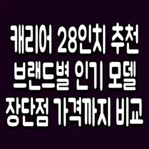 캐리어 28인치 추천 브랜드별 인기 모델 장단점 가격까지 비교