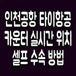 인천공항 타이항공 카운터 실시간 위치 셀프 수속 방법