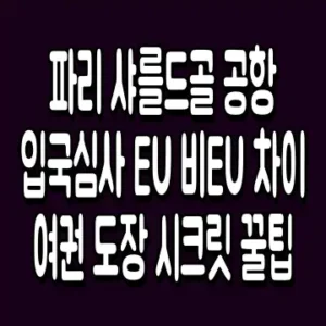 파리 샤를드골 공항 입국심사 EU 비EU 차이 여권 도장 시크릿 꿀팁