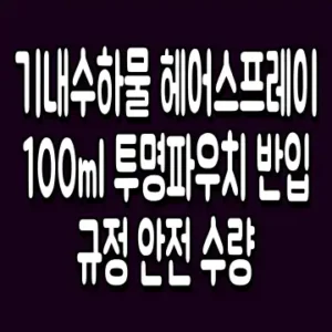 기내수하물 헤어스프레이 100ml 투명파우치 반입 규정 안전 수량