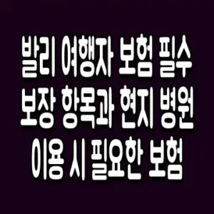 발리 여행자 보험 필수 보장 항목과 현지 병원 이용 시 필요한 보험