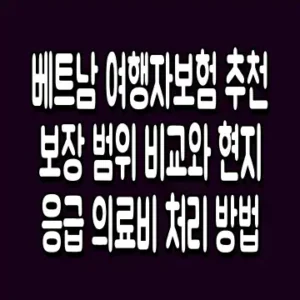 베트남 여행자보험 추천 보장 범위 비교와 현지 응급 의료비 처리 방법