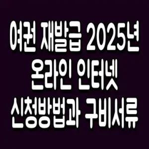 여권 재발급 2025년 온라인 인터넷 신청방법과 구비서류