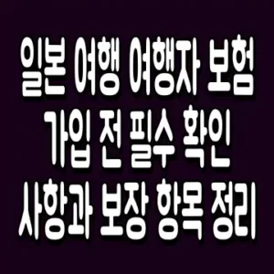 일본 여행 여행자 보험 가입 전 필수 확인 사항과 보장 항목 정리