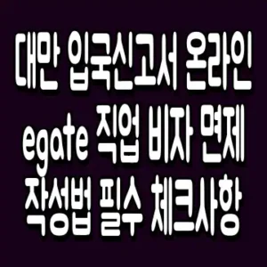 대만 입국신고서 온라인 egate 직업 비자 면제 작성법 필수 체크사항