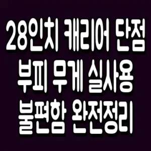 28인치 캐리어 단점 부피 무게 실사용 불편함 완전정리