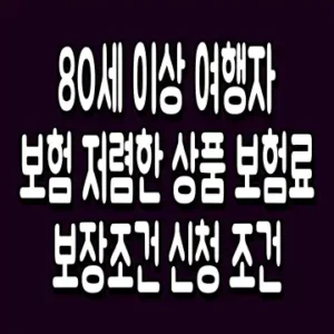 80세 이상 여행자보험 저렴한 상품 보험료 보장조건 신청 조건