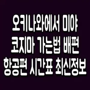 오키나와에서 미야코지마 가는법 배편 항공편 시간표 최신정보