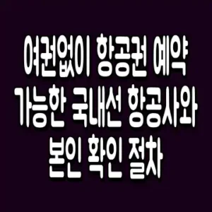 여권없이 항공권 예약 가능한 국내선 항공사와 본인 확인 절차