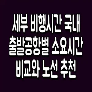 세부 비행시간 국내 출발공항별 소요시간 비교와 노선 추천