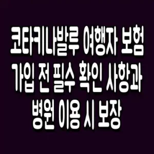 코타키나발루 여행자 보험 가입 전 필수 확인 사항과 병원 이용 시 보장