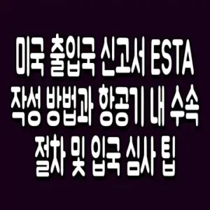 미국 출입국 신고서 ESTA 작성 방법과 항공기 내 수속 절차 및 입국 심사 팁