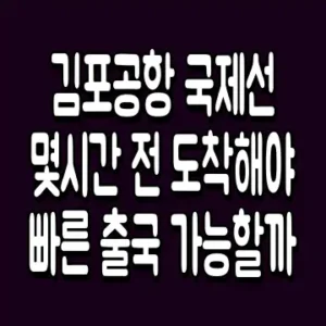 김포공항 국제선 몇시간 전 도착해야 빠른 출국 가능할까
