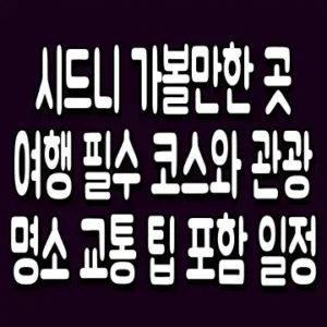 시드니 가볼만한 곳 여행 필수 코스와 관광 명소 교통 팁 포함 일정