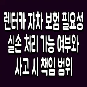 렌터카 자차 보험 필요성 실손 처리 가능 여부와 사고 시 책임 범위
