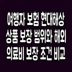 여행자 보험 현대해상 상품 보장 범위와 해외 의료비 보장 조건 비교