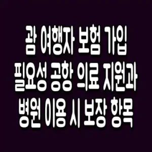 괌 여행자 보험 가입 필요성 공항 의료 지원과 병원 이용 시 보장 항목