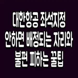 대한항공 좌석지정 안하면 배정되는 자리와 불편 피하는 꿀팁